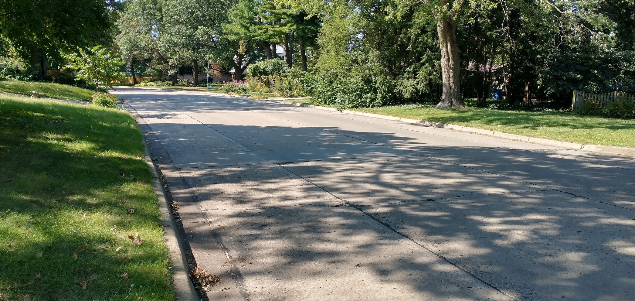 10022021 BAGsidewalks.jpg